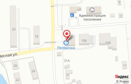Супермаркет Пятёрочка на улице Мичурина на карте