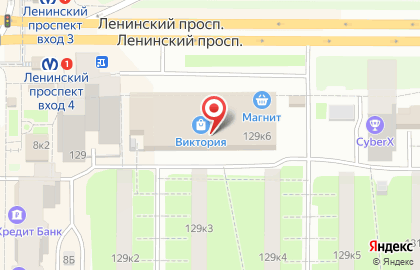 Ирис на Ленинском проспекте на карте