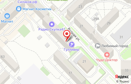 Служба заказа товаров аптечного ассортимента Аптека.ру в Центральном районе на карте