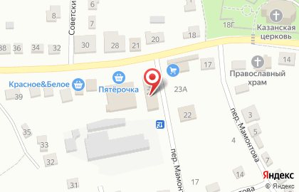 Магазин разливного пива Хмельная Миля на Центральной улице на карте