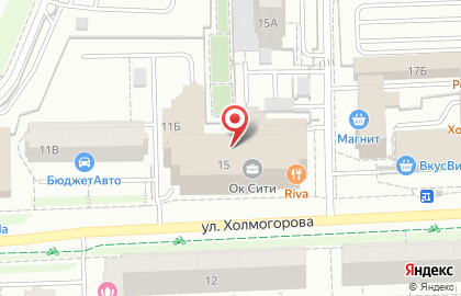 Салон бытовой техники Miele на улице Холмогорова на карте