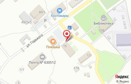 Продуктовый магазин в Новосибирске на карте