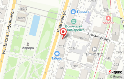 ФанФан Тюльпан в Центральном районе на карте