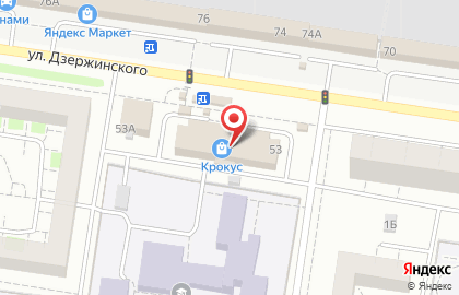 Стрекоза на улице Дзержинского на карте