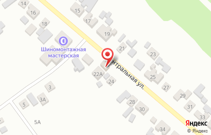 Магазин Апельсинчик на Центральной улице на карте