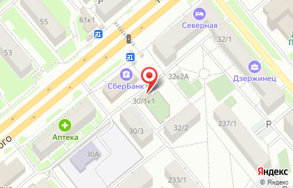 Продовольственный магазин на проспекте Дзержинского на карте