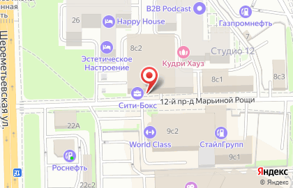 Интернет-магазин profmagazin.ru на карте