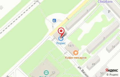 Магазин Васюринский мясокомбинат на Рязанской на карте