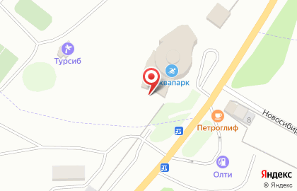 База отдыха Турсиб на Сосновой улице на карте