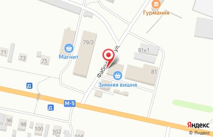Магазин у дома Бристоль в Пензе на карте