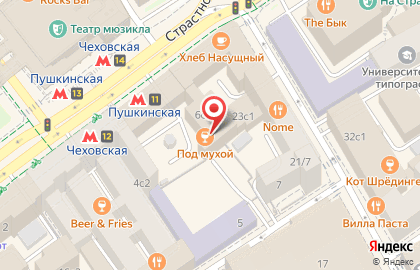 Центр ментальной арифметики ALOHA на метро Пушкинская на карте