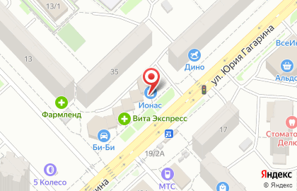 Торговый комплекс Ионас на улице Юрия Гагарина на карте