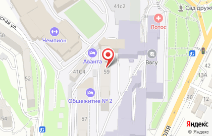 Общежитие ВГУЭС на улице Державина на карте