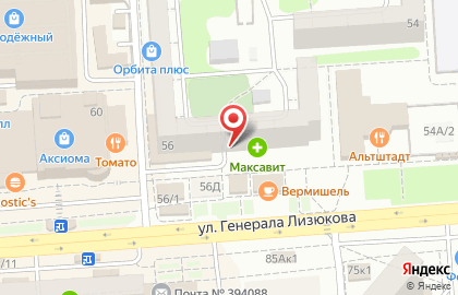 Магазин ортопедических товаров Польза на улице Генерала Лизюкова на карте