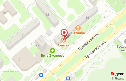 Зоомагазин Золотая рыбка на Трнавской улице на карте