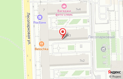 Оценочная компания Антей-Эксперт на Лесопарковой улице на карте
