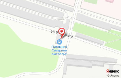 Магазин кормов на улице Белинского на карте
