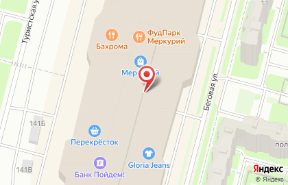 Центр бытовых услуг Пингвин на улице Савушкина, 141 на карте