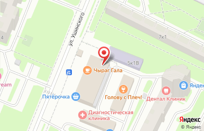 Тера на улице Ушинского на карте