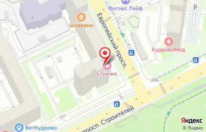 Магазин зоотоваров на Европейском проспекте на карте