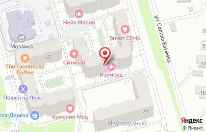 Апельсин на улице Салиха Батыева на карте