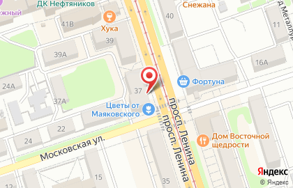 Кафе Сытый кот на проспекте Ленина на карте