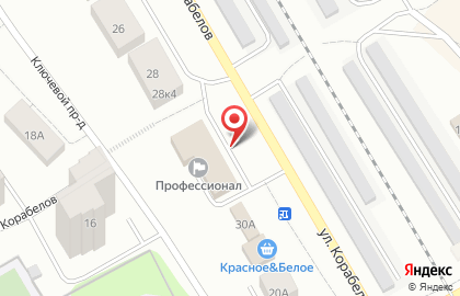 Профессионал, ООО на карте