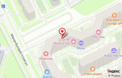 Бухарестская, СТО на карте