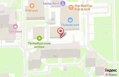 Участковый пункт полиции 51 отдел полиции Управления МВД Московского района на Пулковском шоссе на карте
