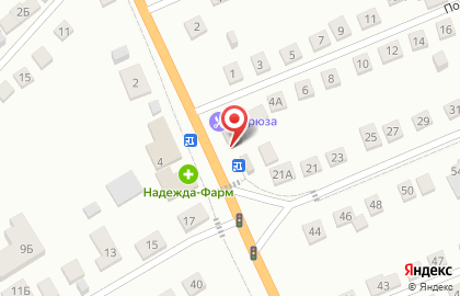 Цветы Анастасия, ИП Савчина Е.Л. на Поселковой улице на карте