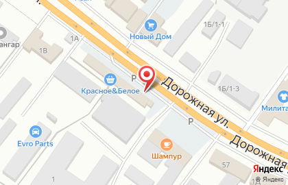 Магазин рыболовных товаров Путина на Дорожной на карте