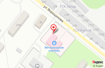 Ветеринарная станция по борьбе с болезнями животных на улице Ворошилова на карте