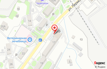 Цветочная лавка на улице Лермонтова на карте