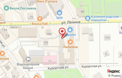 Кафе Вика в Светлогорске на карте