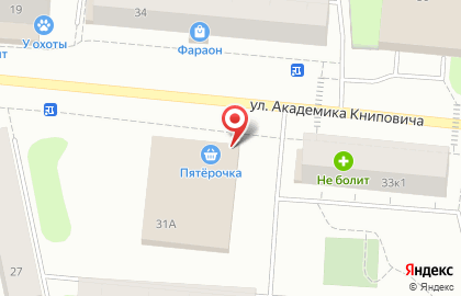 Универсам Пятёрочка на улице Академика Книповича на карте