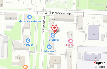 Зооцентр Татошка на Советской улице на карте