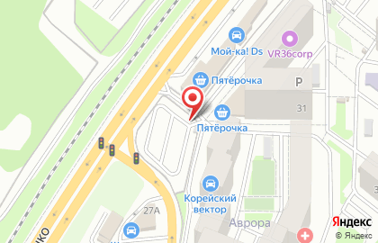 Автостоянка в Воронеже на карте
