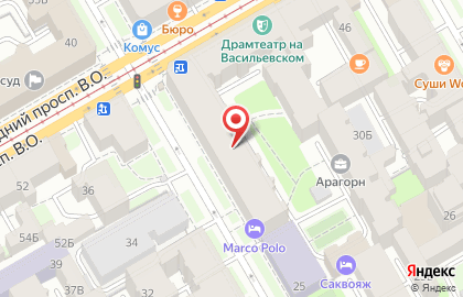 Пинта в Василеостровском районе на карте