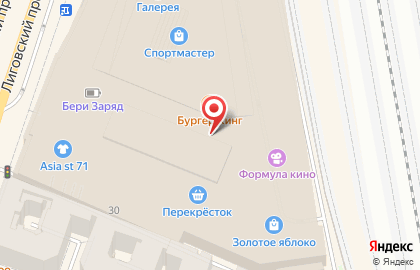 Салон оптики Линзмастер на Лиговском проспекте на карте