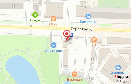 Образовательный центр Кот ученый на Торговой улице на карте