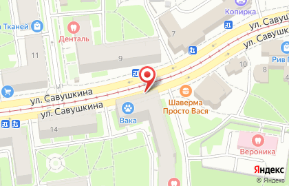 ВАКА на улице Савушкина на карте