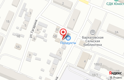 Продуктовый магазин Сударушка на улице Ленина на карте