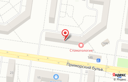 Стоматологическая клиника на Приморском, ООО на карте