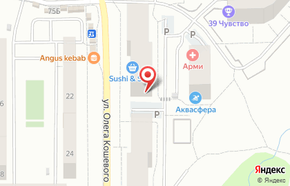 Магазин разливного пива Пивной погребок на улице О.Кошевого на карте