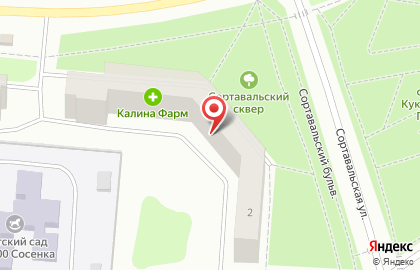 Деликат, ОАО Карельский мясокомбинат на улице Ровио на карте