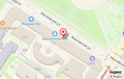 Зоомагазин PetShop.ru на Московской площади на карте
