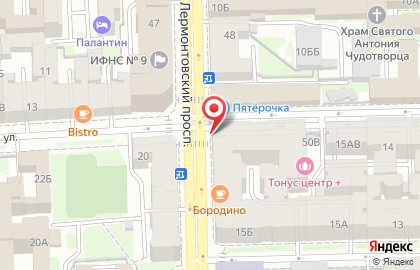Зоомагазин на улице Лермонтовский на карте
