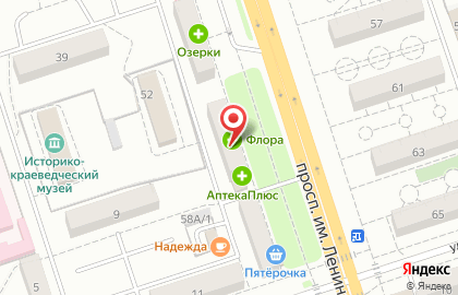Флора на проспекте Ленина на карте