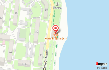 Гастрономический бар Конь & Дельфин на карте