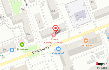 Стоматологическая клиника №3 на Салютной улице на карте